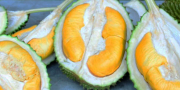durian-musang-king-harga-mahal-murah-sedap-lazat-buahdurian-pokokdurian-durianmurah