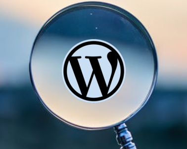 scan-wordpress-wp-website-theme-plugin-used-laman-web-web-development