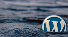 kelas-kursus-wordpress-belajar-bina-website-laman-web-bisnes-perniagaan-marketing-internet-pembinaan-web-viral-ecommerce