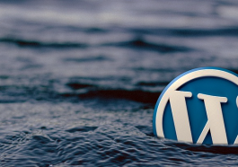 kelas-kursus-wordpress-belajar-bina-website-laman-web-bisnes-perniagaan-marketing-internet-pembinaan-web-viral-ecommerce